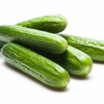 Baby Cucumber 20 Benih benih mentimun mini baby cucumber Baby Cucumber 20 Benih benih mentimun mini baby cucumber