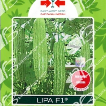 benih paria lipa f1 benih paria lipa f1