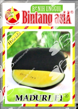 benih semangka maduri f1 benih semangka maduri f1