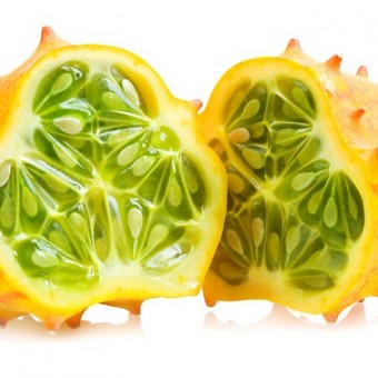 benih kiwano horned melon 10 biji non retail bibitbunga benih kiwano horned melon 10 biji non retail bibitbunga