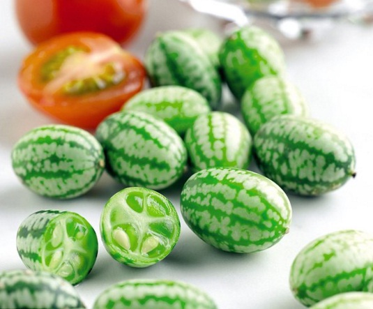 benih cucamelon semangka anggur 2 biji non retail benih cucamelon semangka anggur 2 biji non retail