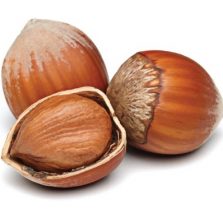 Benih Kacang Almond (Almond Nut) - BibitBunga.com