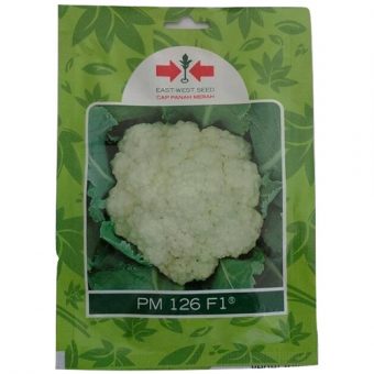 jual benih bunga kol pm 126 f1 250 biji murah bibitbunga jual benih bunga kol pm 126 f1 250 biji murah bibitbunga