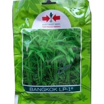 jual benih kangkung bangkok lp 1 1500 biji bibitbunga jual benih kangkung bangkok lp 1 1500 biji bibitbunga
