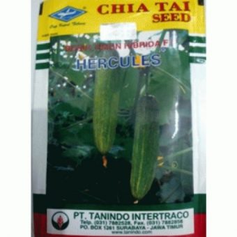 benih timun hercules f1 10 gram kapal terbang benih timun hercules f1 10 gram kapal terbang