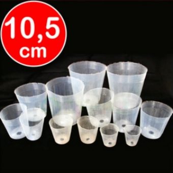 pot anggrek plastik bening 10 5 cm 50 pcs bibitbunga pot anggrek plastik bening 10 5 cm 50 pcs bibitbunga