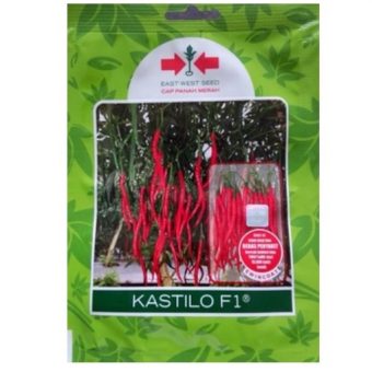 benih cabe keriting kastilo f1 2 000 biji panah merah bibitbunga benih cabe keriting kastilo f1 2 000 biji panah merah bibitbunga