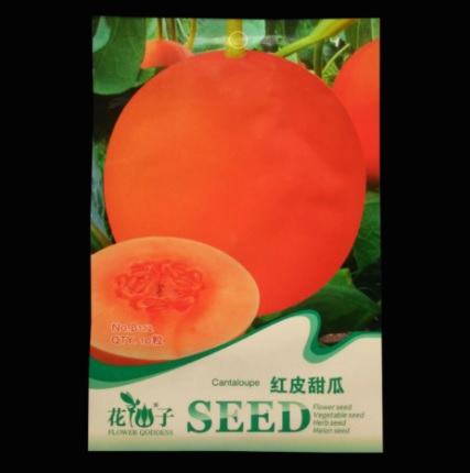 benih redskin melon 10 biji retail asia bibitbunga benih redskin melon 10 biji retail asia bibitbunga