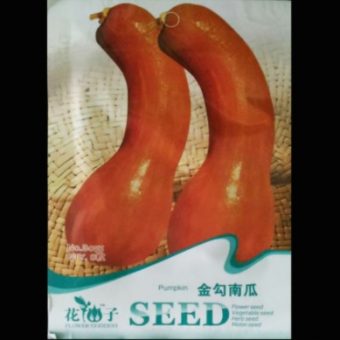 benih labu hook pumpkin 8 biji retail asia bibitbunga benih labu hook pumpkin 8 biji retail asia bibitbunga