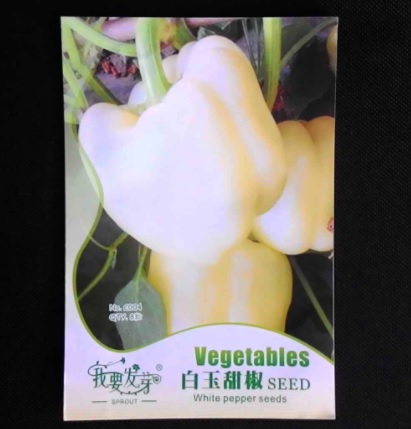 benih paprika putih 8 biji retail asia bibitbunga benih paprika putih 8 biji retail asia bibitbunga