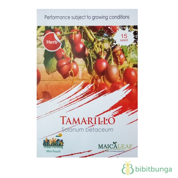benih terong belanda tamarillo 15 biji maica leaf bibitbunga benih terong belanda tamarillo 15 biji maica leaf bibitbunga