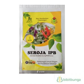 benih cabe hias seroja ipb 25 biji dramaga bibitbunga benih cabe hias seroja ipb 25 biji dramaga bibitbunga
