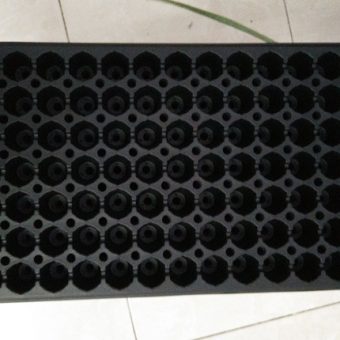 tray semai 105 lubang model lubang bulat bibitbunga tray semai 105 lubang model lubang bulat bibitbunga