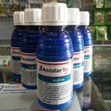 cara membuat tanaman cepat tumbuh besar cara membuat tanaman cepat tumbuh besar
