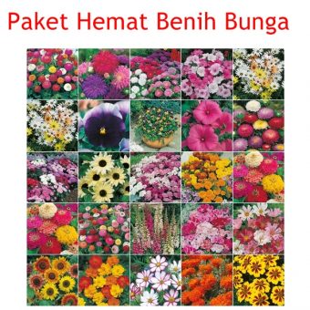 paket hemat benih bunga bibitbunga paket hemat benih bunga bibitbunga