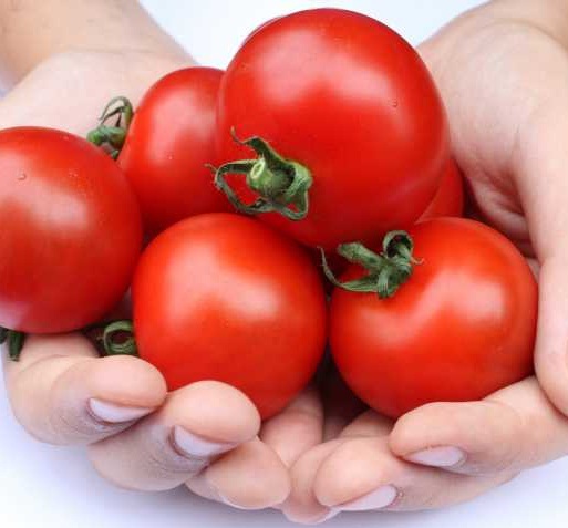 manfaat-tomat