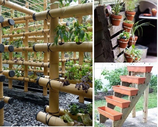 Berkebun di Lahan Sempit dengan Kebun Vertikal 