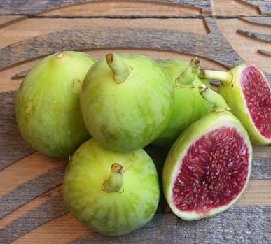 Buah tin green jordan (green jordan fig)