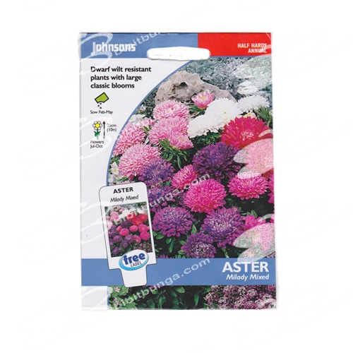 aster-milady-mixed