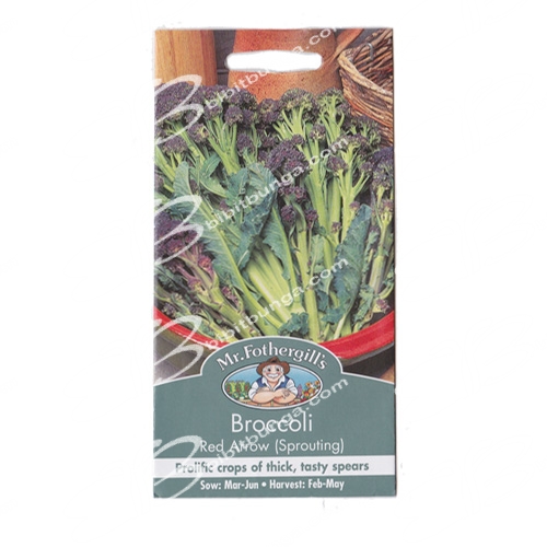 broccoli-red-arrow