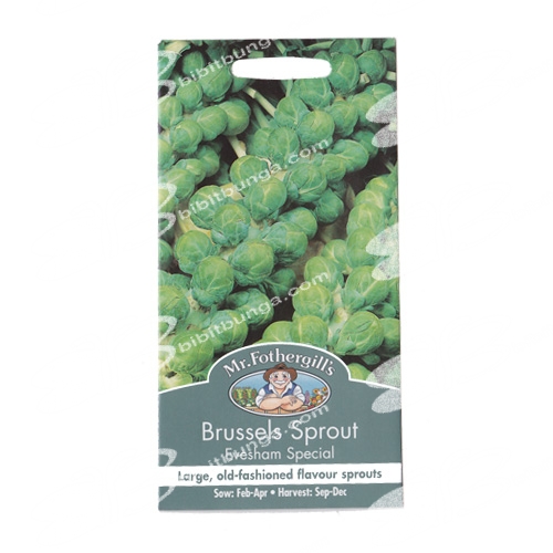 brussels-sprout-evesham-special