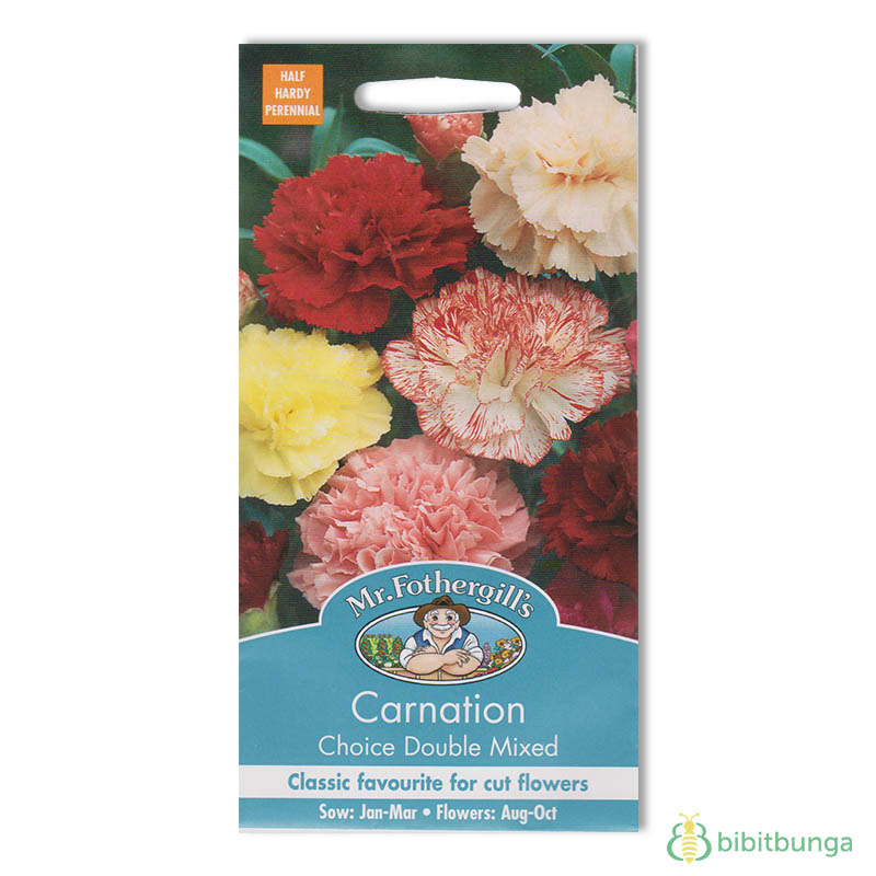 carnation-choice-double-mixed