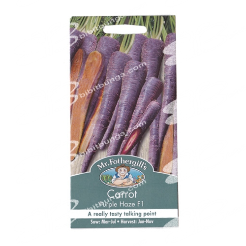 carrot-purple-haze-f1