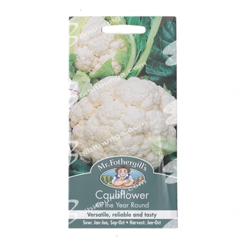 cauliflower-all-the-year-round