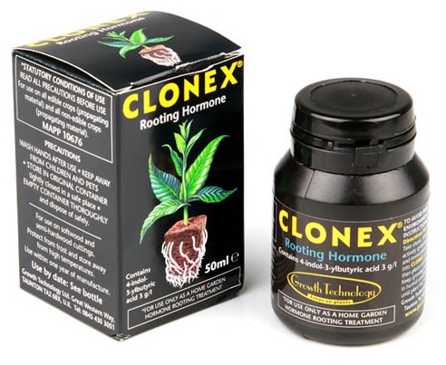 clonex-50-ml-original-packing