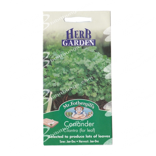 coriander-cilantro-for-leaf