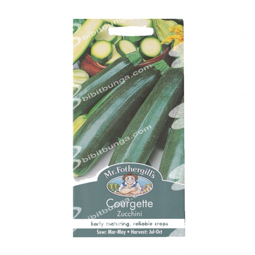 courgette-zucchini