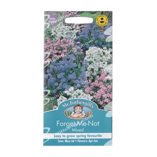 forget-me-not-mixed