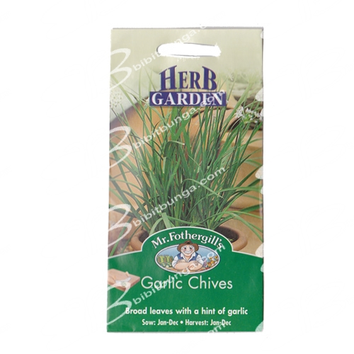 garlic-chives