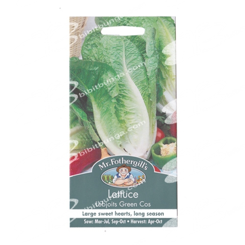 lettuce-lobjoits-green-cos