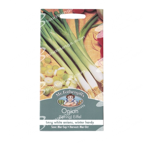 onion-spring-eiffel