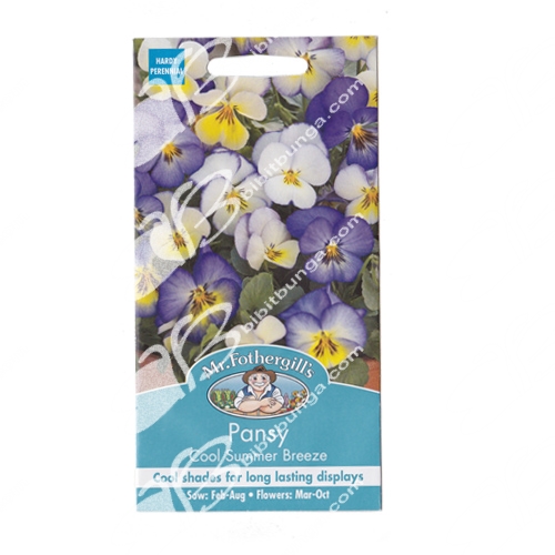 pansy-cool-summer-breeze