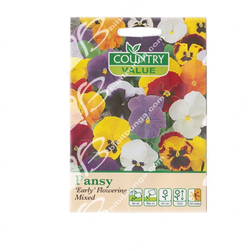 pansy-early-flowering-mixed