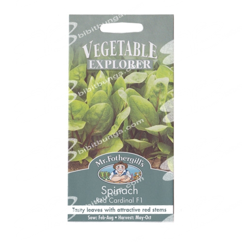 spinach-red-cardinal-f1