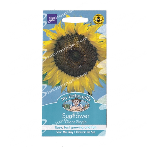 sunflower-giant-single