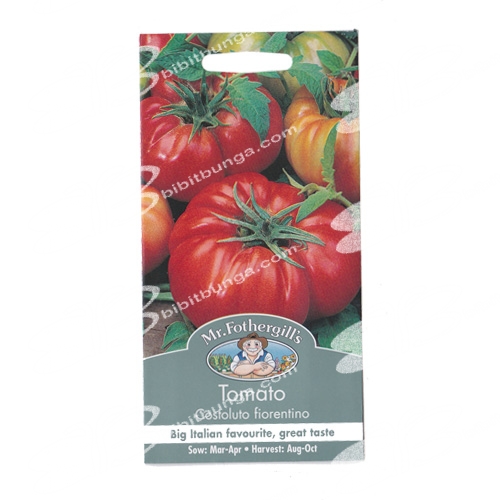 tomato-costoluto-fiorentino