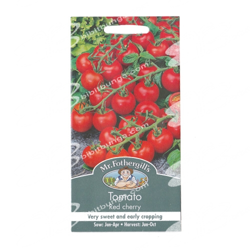 tomato-red-cherry