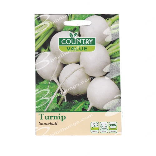turnip-snowball
