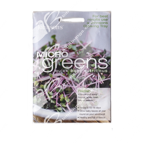 microgreens-radish