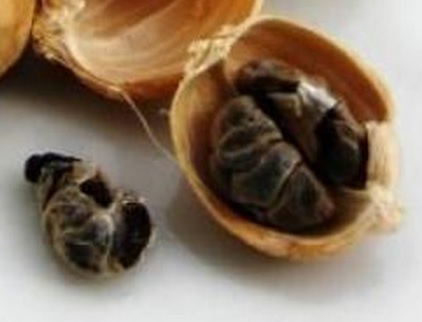 Di dalam buah kapulaga terdapat biji-biji kecil berwarna hitam sebanyak 14-16 biji.