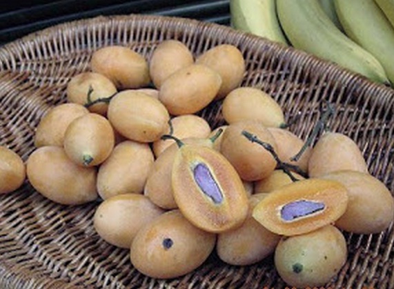 buah-gandaria-marian-plum