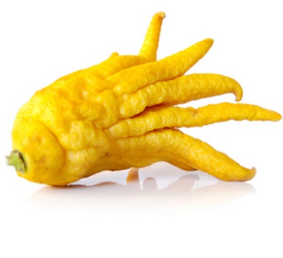 buah-jeruk-tangan-buddha