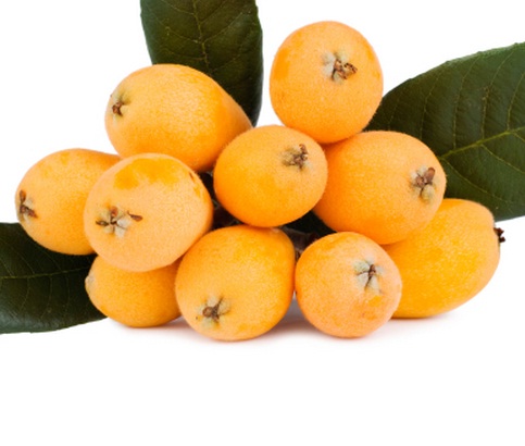 buah-loquat