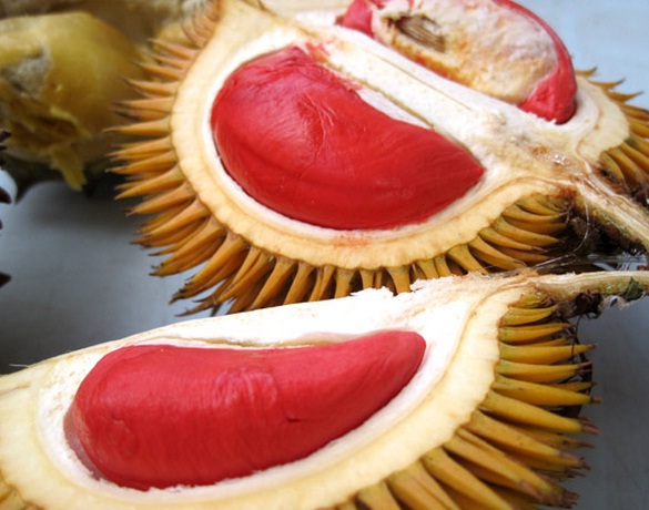 durian-merah