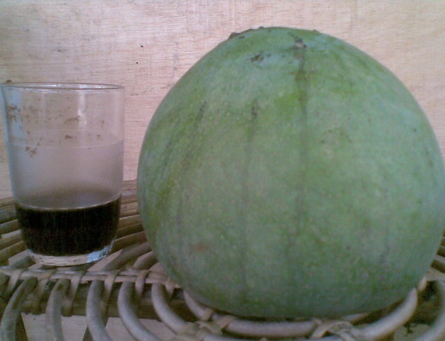 mangga-kelapa