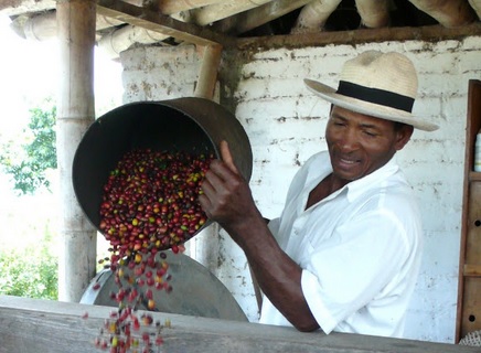 Pembudidayaan kopi di Kolumbia umumnya berasal dari petani perkebunan kecil milik individu / keluarga.